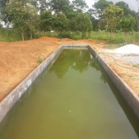 John Salter – Report on Fish Pond. 20130628_133626