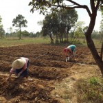 Corale helping out on the gardens